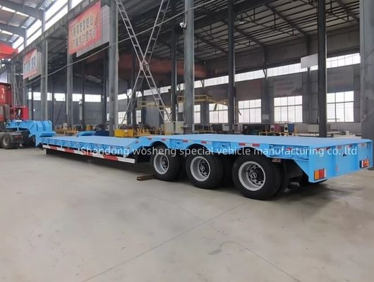 Wosheng 3 оси 12 колес Нижний контейнер шасси полуприцеп 12500x2500x1100 мм