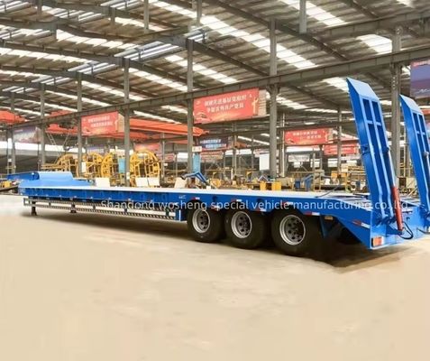 Wosheng 3 оси 12 колес Нижний контейнер шасси полуприцеп 12500x2500x1100 мм